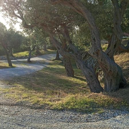 Rodia Twin Villas מראה חיצוני תמונה