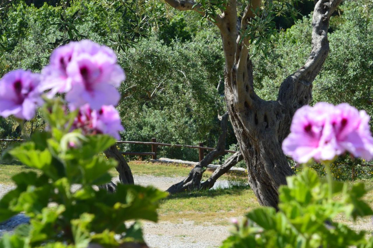 Rodia Twin Villas מראה חיצוני תמונה