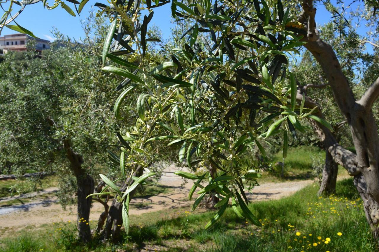 Rodia Twin Villas מראה חיצוני תמונה
