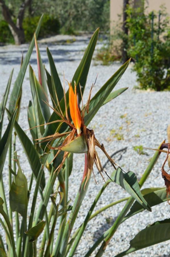 Rodia Twin Villas מראה חיצוני תמונה