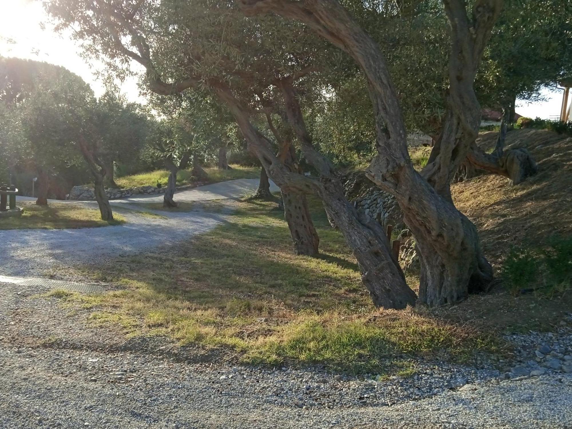 Rodia Twin Villas מראה חיצוני תמונה