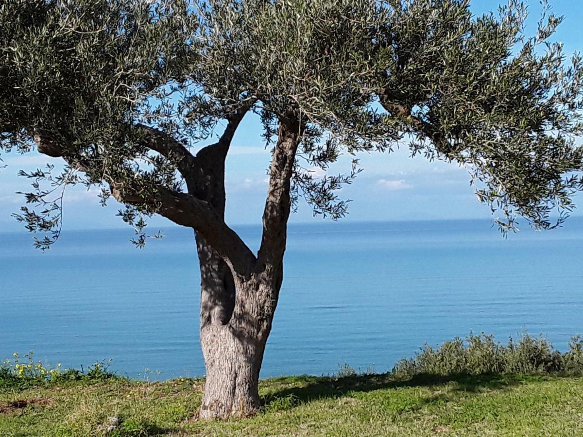Rodia Twin Villas מראה חיצוני תמונה